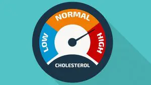 Cholesterolverlagend dieet