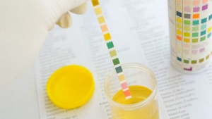 ketose strips worden in potje gestopt
