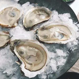 Oesters in pan met ijs